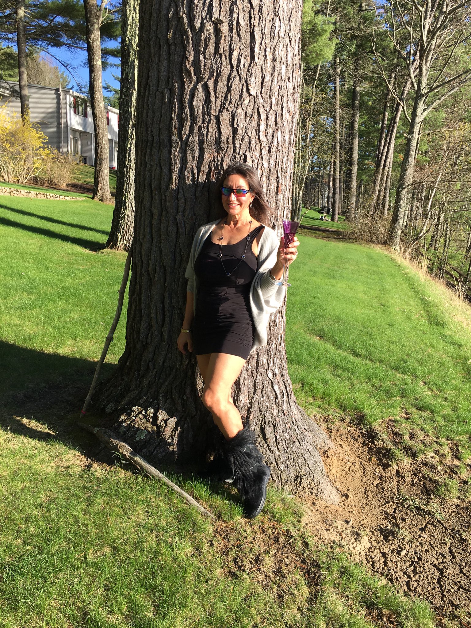 Персия монир фото Фитостудия-63.ру как выглядит.