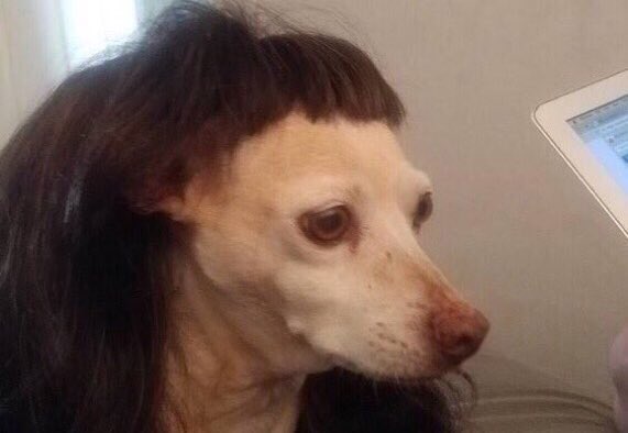 smugica's tweet image. 