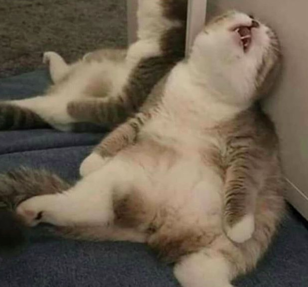 tipslangsing's tweet image. Puasa akan membuat siklus gula tubuh kita turun yg akibatnya kita jadi ngantuk berat. atasi dengan menu sahur yang bernutrisi dan banyak serat deh  #RamadhanKareem #tipslangsing