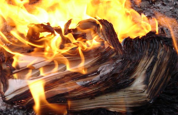 Mexico Insurance tweet media