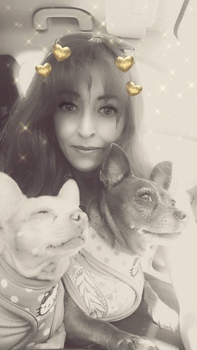 Happy #Wednesday everyone!

#dogs #WednesdayVibes #goodvibesonly #pets #dogstagram #dogmom #love #follow #SnapChat