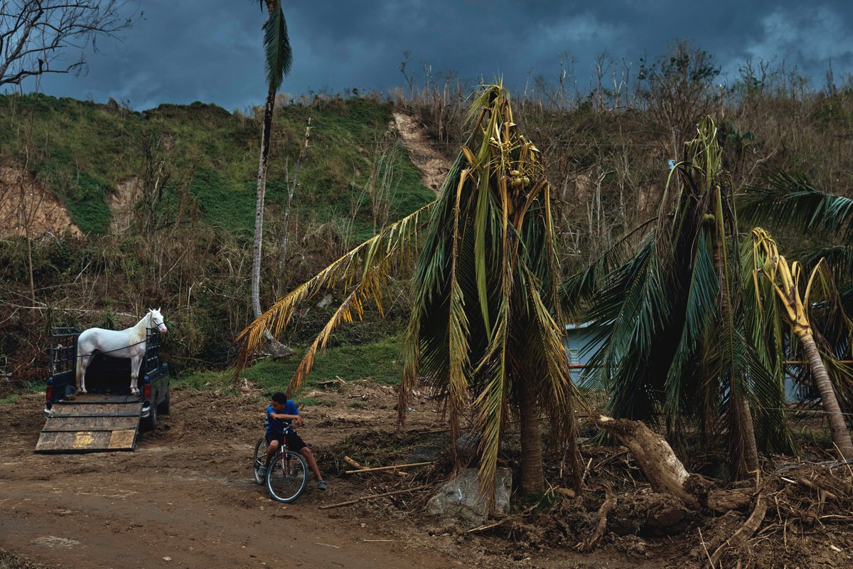 #POYLatamQuito2019 
Categoría NOTICIAS [Individual]
Mención de Honor: <a href="/AndresKudacki/">Andres Kudacki</a> | 🇺🇸 Estados Unidos