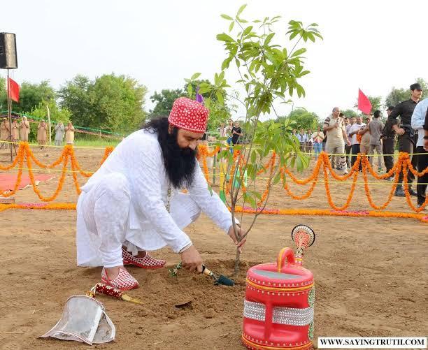 RandeepChauhan1's tweet photo. #MSGRequests to save Environment;Let’s come together for the good of humanity &amp; are planet Earth.
साँसे हो रही है कम, आओ पेड़ लगाएं हम!!!!!
#GreenEarthCampaign By Saint  Dr. @Gurmeetramrahim Singh ji insan &amp; @derasachasauda 'S Followers at world lavel. https://t.co/50PKRykBiM