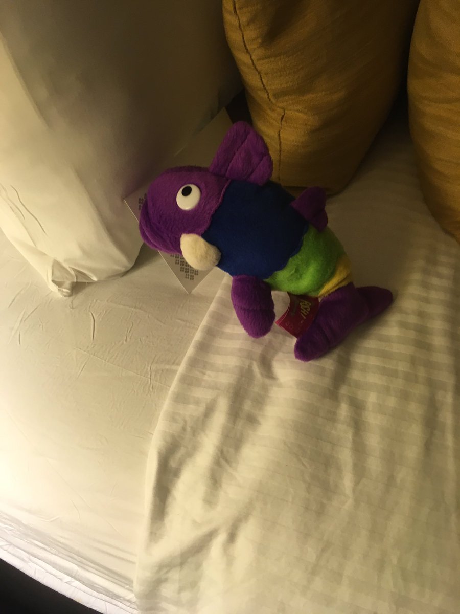 ScoobyDavis's tweet image. Pete the fish is ready for bed. He had a great night bonding during #HRFundamentals #HDU