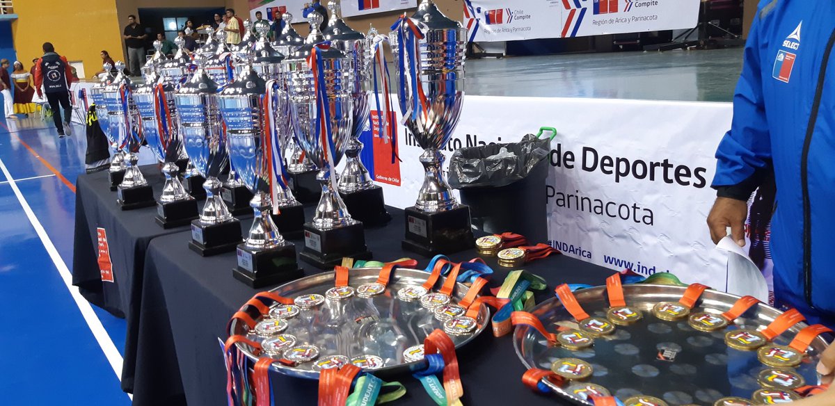 DPRAricayP's tweet photo. 🏆#Judejut2019🏅 Atletas de #Arica y #Parinacota obtienen medallas de oro, plata y bronce. Intendenta @MLoreto destacó esfuerzo y dedicación de deportistas que participaron en nueve disciplinas de juegos trasandinos. Voleibol🤾♀️ atletismo🤸♂️ y ciclismo🚴♂️ en Arica #ChileCompite🇨🇱 https://t.co/B9f7mnbcwi