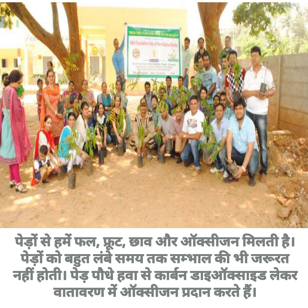 RandeepChauhan1's tweet photo. #MSGRequests to save Environment;Let’s come together for the good of humanity &amp; are planet Earth.
साँसे हो रही है कम, आओ पेड़ लगाएं हम!!!!!
#GreenEarthCampaign By Saint  Dr. @Gurmeetramrahim Singh ji insan &amp; @derasachasauda 'S Followers at world lavel. https://t.co/50PKRykBiM