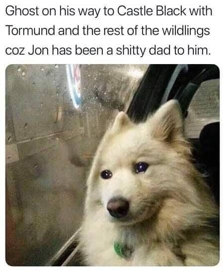 thronesdragons's tweet photo. 😢 . . #gameofthrones #got #hbo #gameofthronesseason8 #dragons #ghost #jonsnow #barked #9gag #pet #wolf #gameofthrones #got https://t.co/s9XIgGJ2Lf