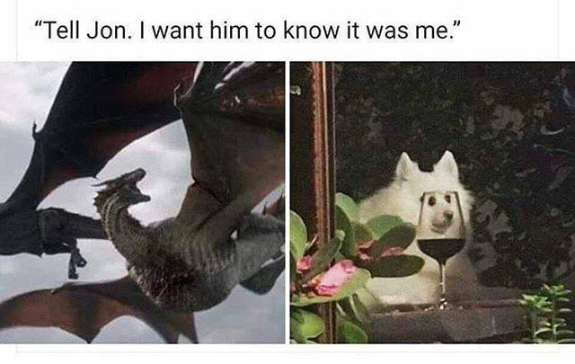 Game of Thrones Memes on X: Drogon knows what's up 😂 #GameOfThrones   / X