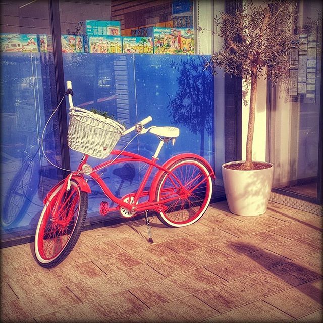 TyBoR's tweet photo. 🚲 https://t.co/c7VehIjc0r https://t.co/qQuXOhPLAa
