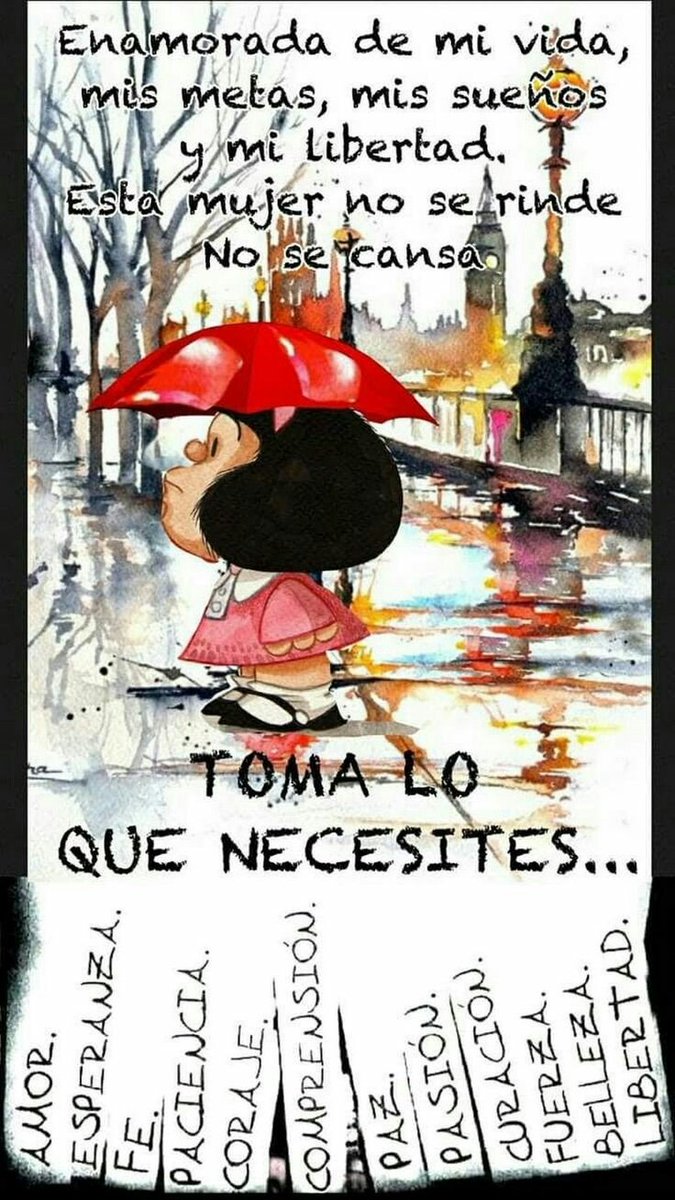•̀•́ кαяу •̀•́/ᐠ。ꞈ。ᐟ\ ˙❥˙ tweet media