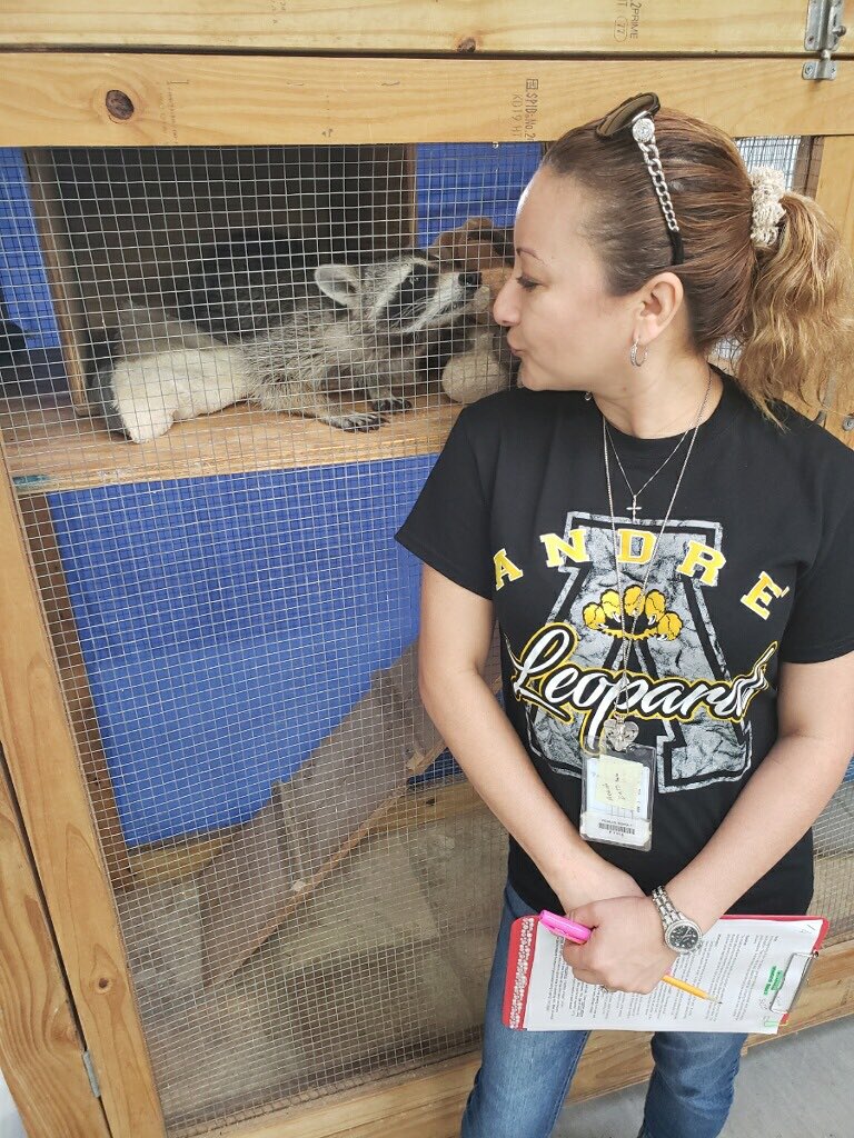 HooperCounselor's tweet photo. Had a blast at the SRC with our super second graders! Look how much “LeRoy the Racoon” loved @SoniaYepez6 #AndreInAction #CFISDSpirirt https://t.co/ooqt2QcWpM
