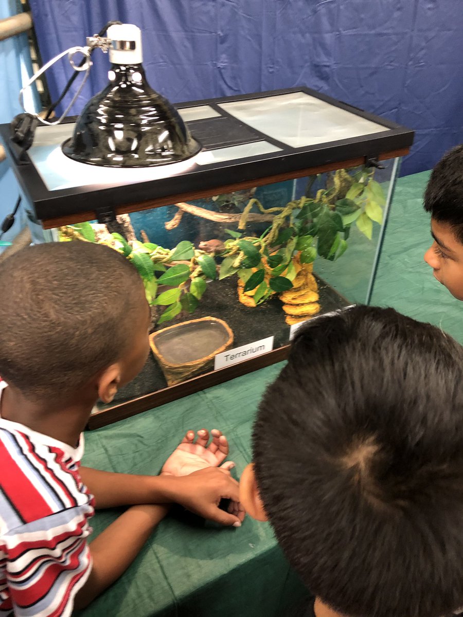 HooperCounselor's tweet photo. Had a blast at the SRC with our super second graders! Look how much “LeRoy the Racoon” loved @SoniaYepez6 #AndreInAction #CFISDSpirirt https://t.co/ooqt2QcWpM