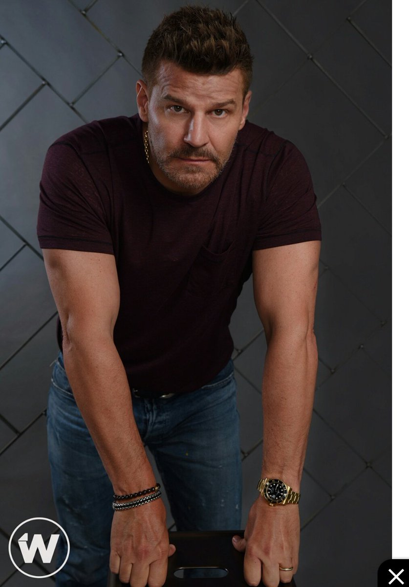 SealTeamcbsfans's tweet photo. Love these awesome new portraits of @David_Boreanaz taken by #studiowrap #SEALteam @SEALTeamCBS https://t.co/RgbYjWWXjs