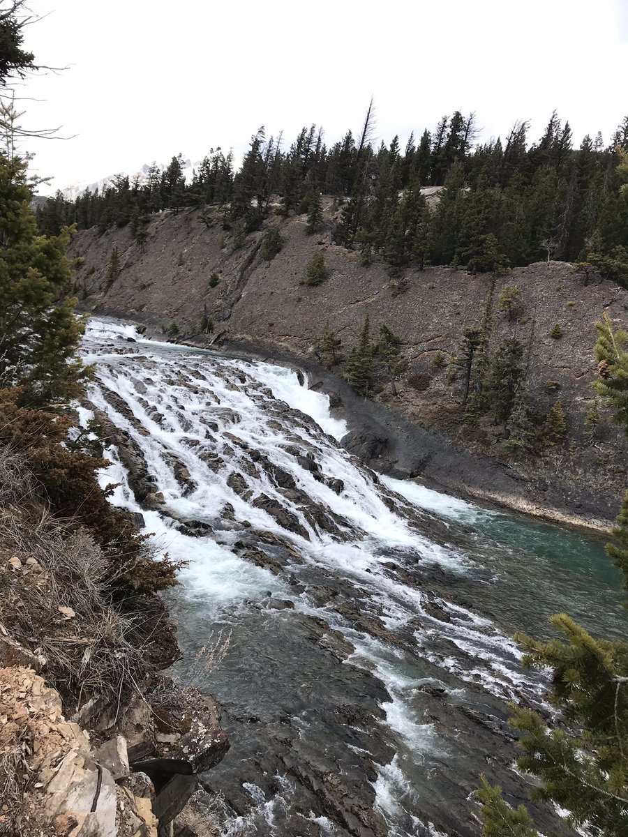 nehiYEW's tweet photo. #tb to 2 weeks ago when I was #holidayBonnie mode in #Banff wearing my #sectionthirtyfive jacket sitting on a tree stump looking at Bow Falls ❤️ https://t.co/yD3AYYnB5g