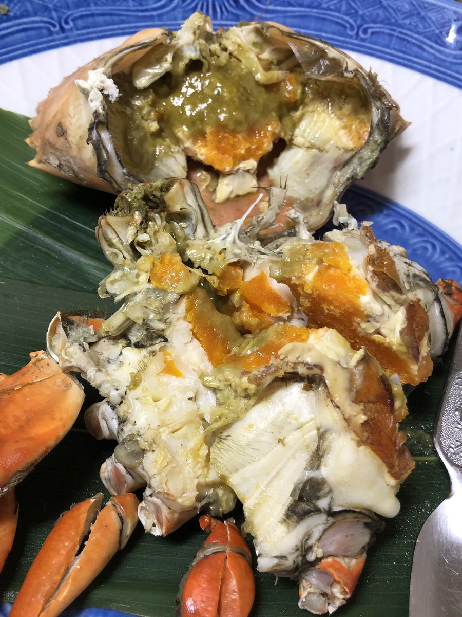 秋元健一 Na Twitteru 浜名湖 幻の蟹どうまん なんとっ メスの水揚げありました 浜松パワーフードめちゃウマですっ どうぞみなさま浜松へお越しください O O 浜松料理じねん どうまん蟹 浜松パワーフード 舞阪 T Co