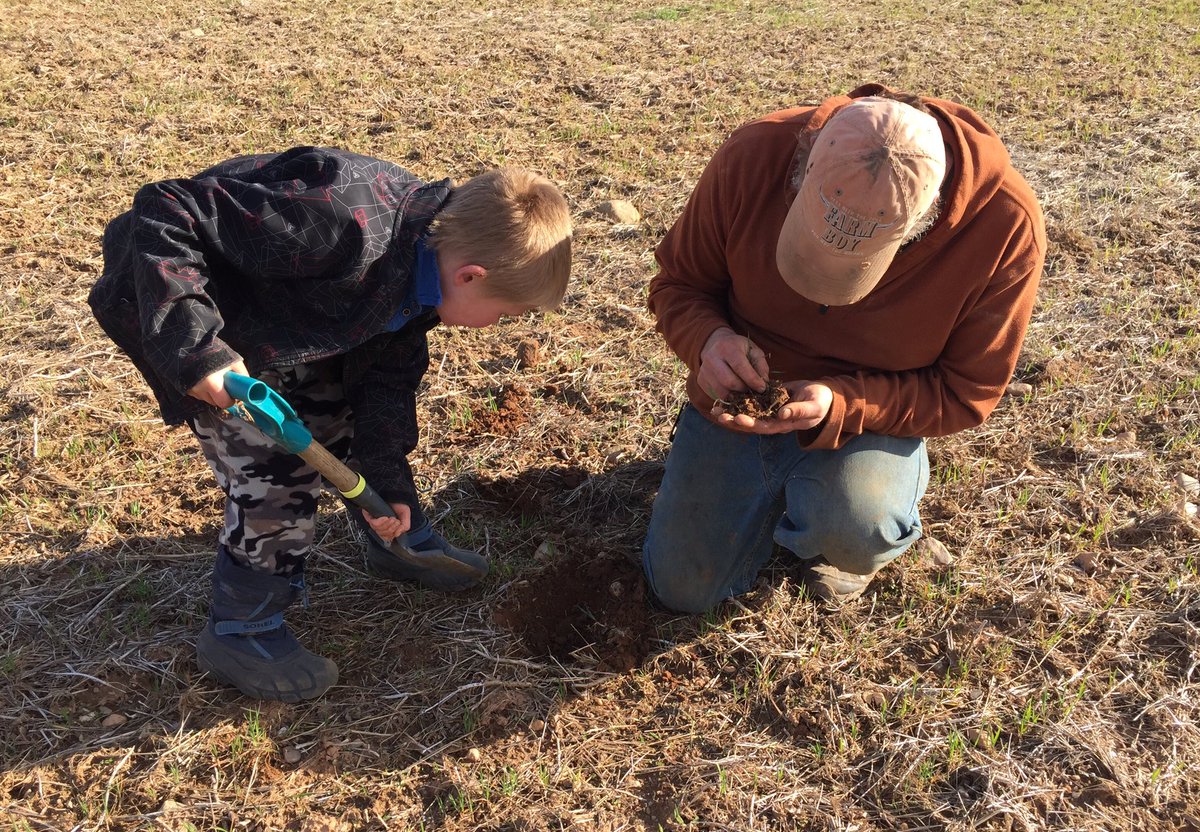 AmyVanderheide's tweet photo. Teachable moments are never far away on the farm.
#farmkid #futurefarmer #actuallyhewantstobeacropscientist
#agmorethanever #plant19 #seedcheck https://t.co/J2Zs5avRvA