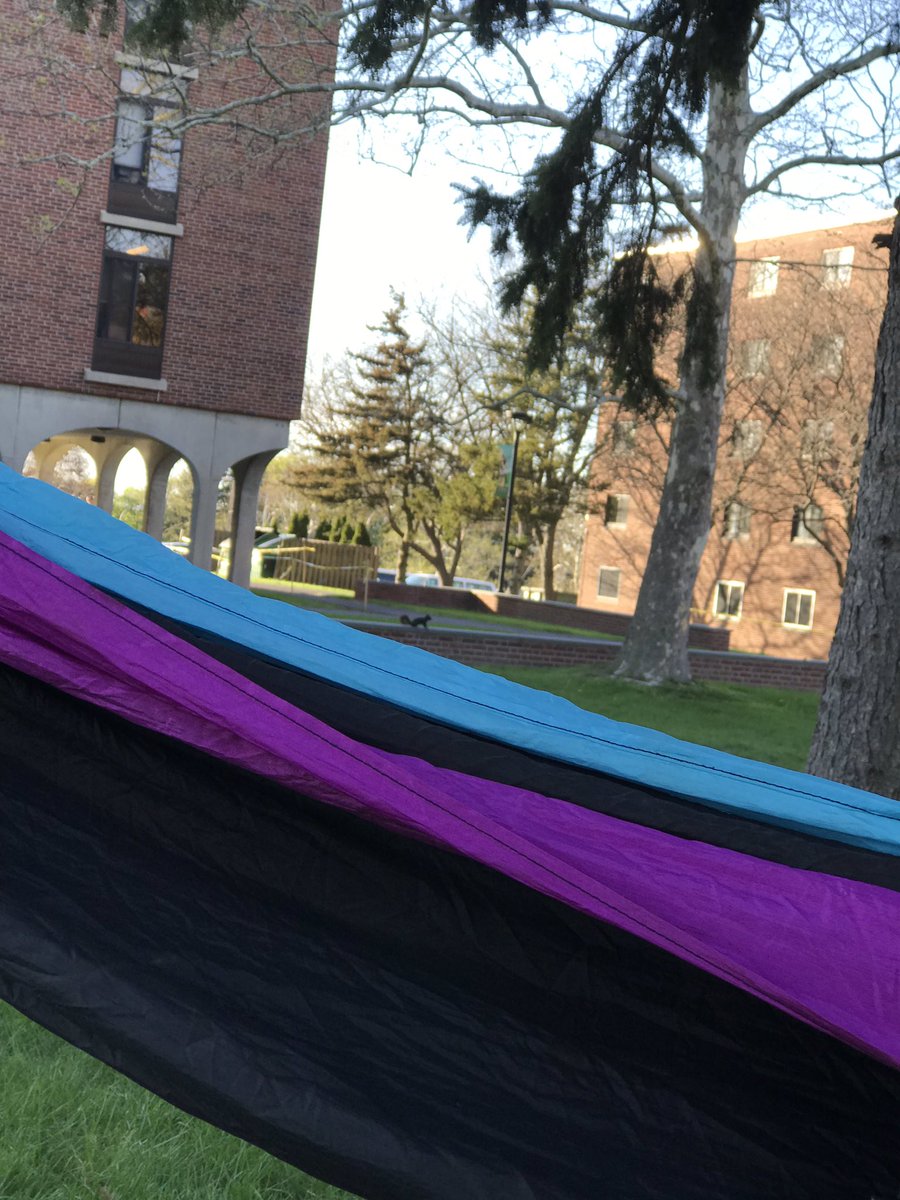 Squirrels can hammock too 😴🤙🏼😪