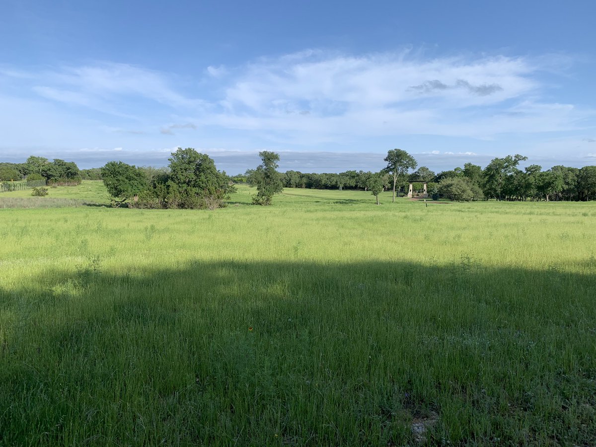 discodantheman's tweet photo. Recent rains have caused a lot of erosion, water gap maintenance, fence mending,and even damage to some of the structures. However, I do have to say, it is green and their is quite an abundance of natural foods or wildlife. #halfemptyorhalffull #perspectives #nature #natural https://t.co/fy4Lc1BpVB