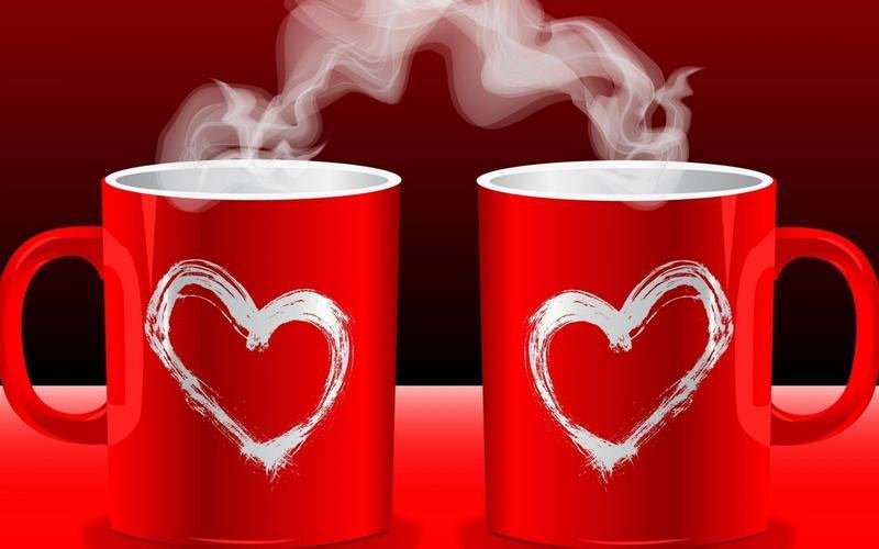 ❤❤❤❤❤❤