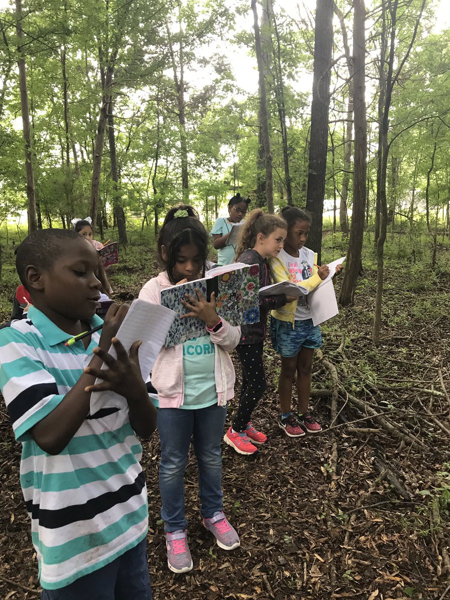 MrsFrancart's tweet photo. Wolf Meadow has such a beautiful walking trail and today these poets were inspired by all that they observed and discovered 🌱🐾💐🦋🐜
#wmesrocks #powerofthepineapple https://t.co/qw8MJASYJM