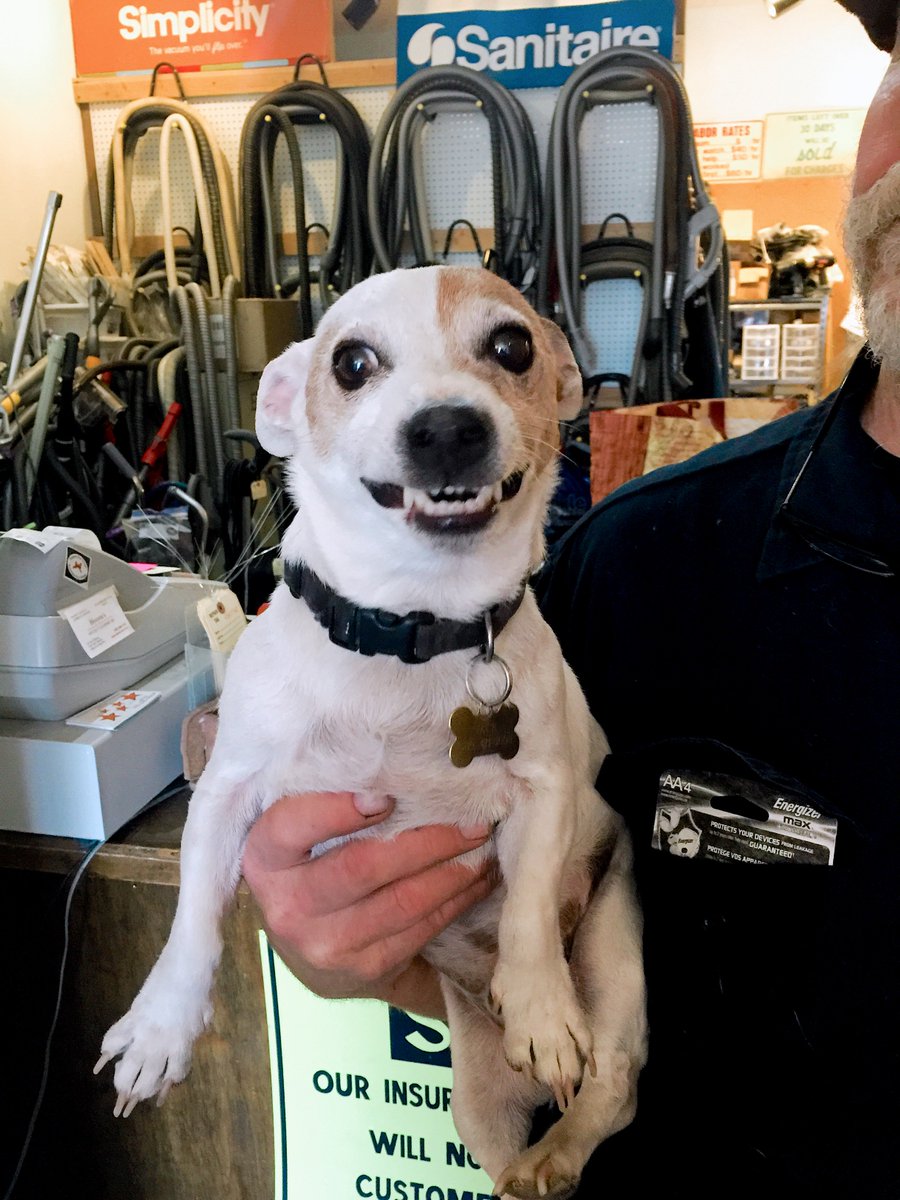 Strive to be as happy as this dog, Jack! 📸: <a href="/koat7news/">KOAT.com</a>  / Jack Chappell