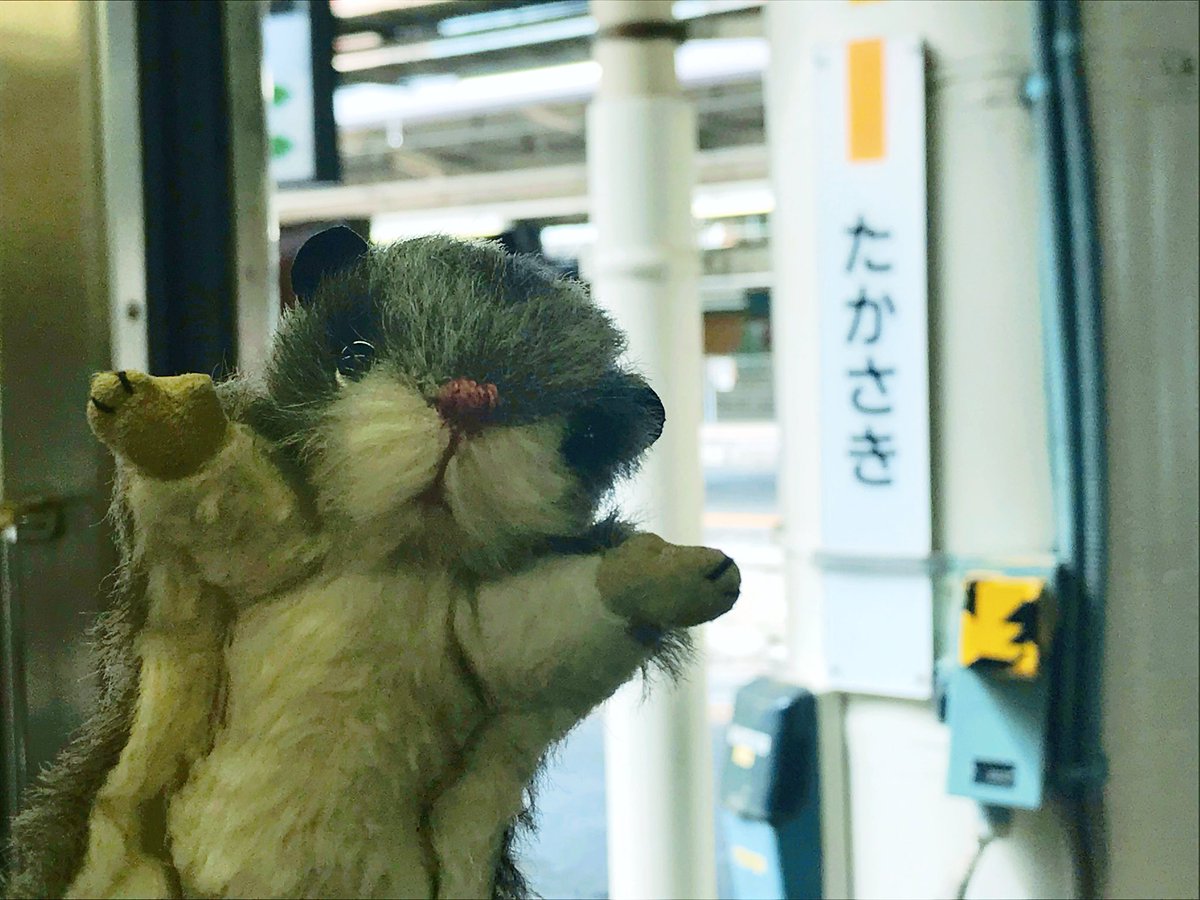 craftoreo's tweet photo. りょこうにきているよ！
#モモンガ
#ぬい撮り https://t.co/23r6Ie7KbF