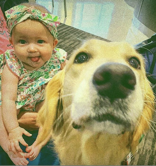 Pawsitive_Play's tweet photo. These two were destined to be buddies. 💚💚💚 #queenE #belikemollymae #hoperevival #marielsvoice https://t.co/STaWSwyAQg