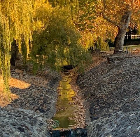 RestPointGroup's tweet image. Autumn colours at Rocky Ponds Creek. 
Photo by @stardustsharie

Friday 10th May 2019
Forecast temperature: 4 - 16 degrees
Daily forecast: Partly cloudy. Medium (40%) chance of showers in the south, slight (20%) chance elsewhere. 
#gleninnes #autumninglen #gihva