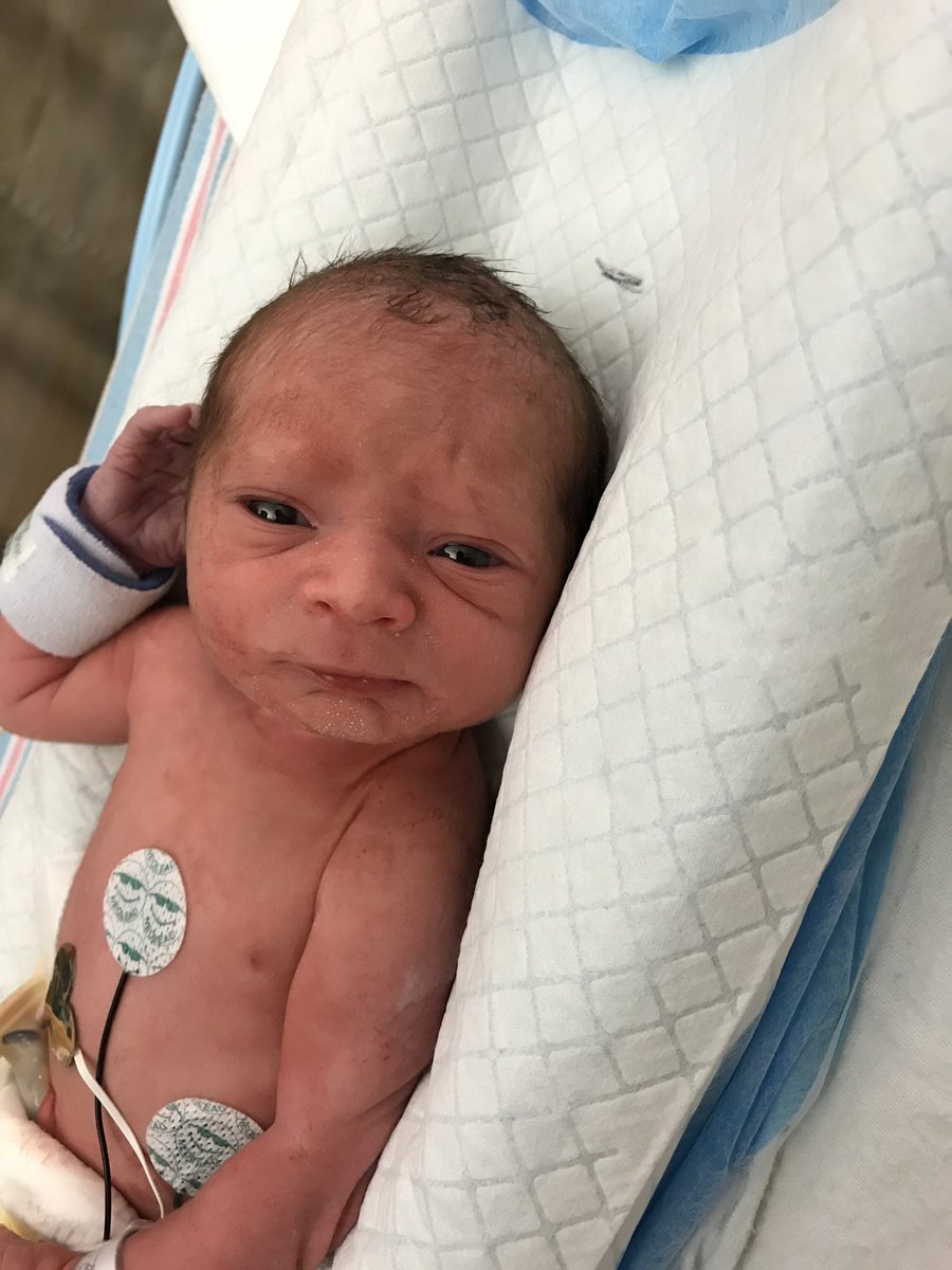 CoachReali's tweet photo. Welcome to our newest minutemaid! Cecelia Diane was born @ 9:44 am weighing 3 lbs 4 oz. 15.5 inches long. We’re all doing well.  Even though V couldn’t meet her, he still gave her picture kisses 😘 https://t.co/sWf09vYTAR