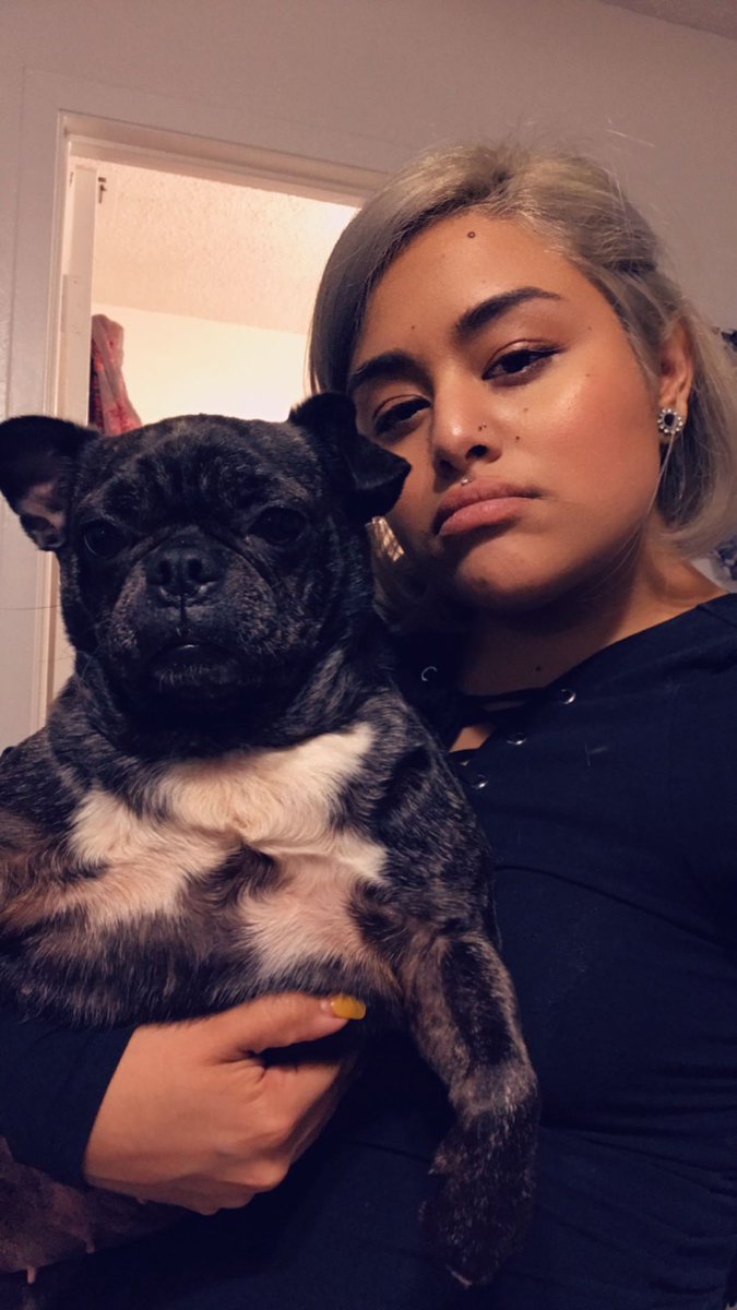 ellesigxx's tweet photo. my dog is missing from the pipers lane Culebra 78251 area today 1;55 pm please keep an eye out she’s an older lady https://t.co/sqIiOKPLp9