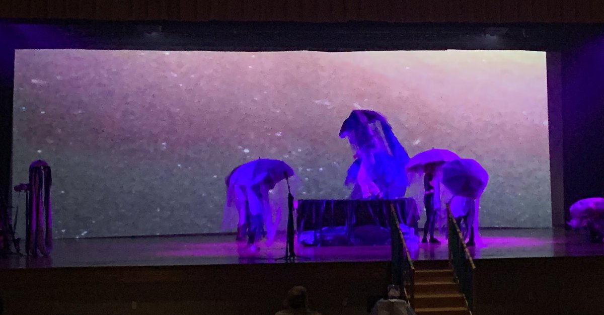 scherrer_bob's tweet photo. Great talent on display this evening at the NASH art show!  Loved the collaboration with @squonkopera. #nasdlearns https://t.co/UysEXA0nsn