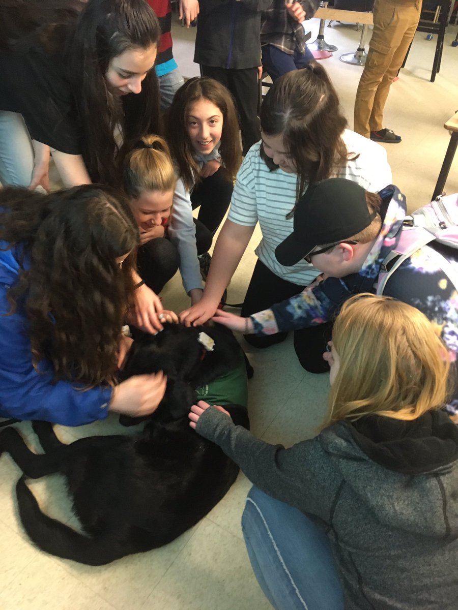 amh_stevenson's tweet image. Thank you @muskokahighland for coming to share budgeting and interviewing with int Ss @monckps #practicalmath @TLDSB_EE @TLDSB They enjoyed meeting wizard too.