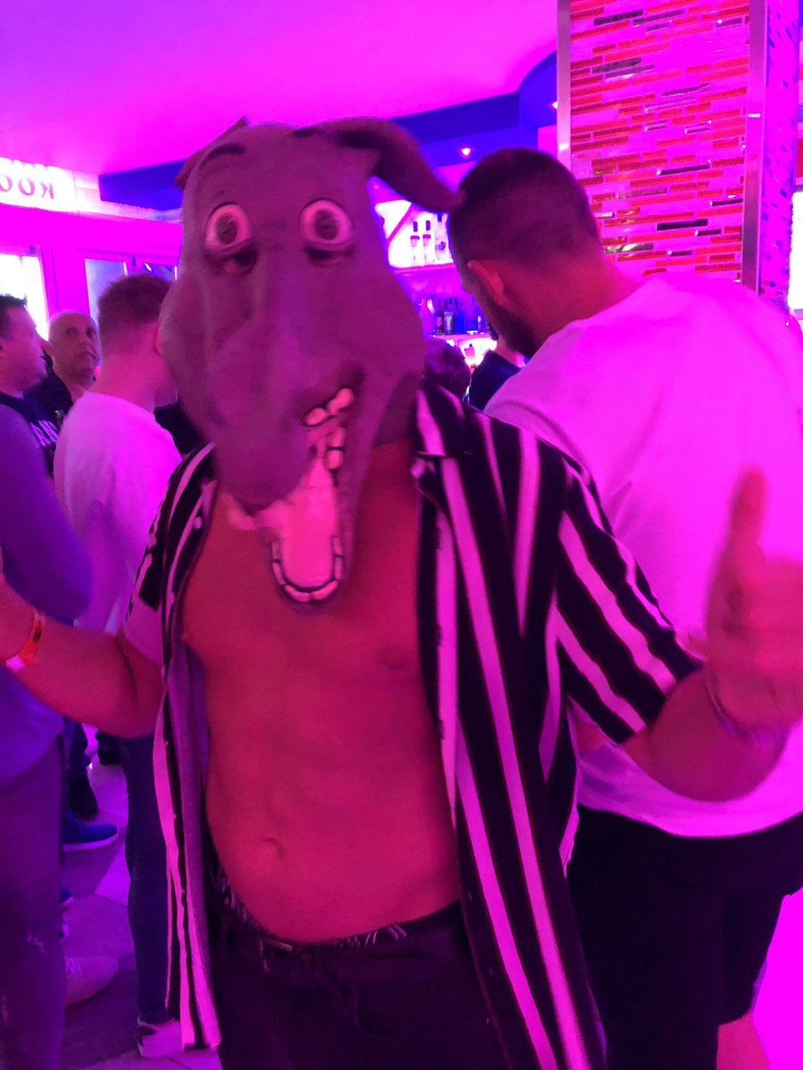CSKAEmneth's tweet photo. Live photo of the donkey out in Magaluf #PigeonChest https://t.co/26yD6k5TCK