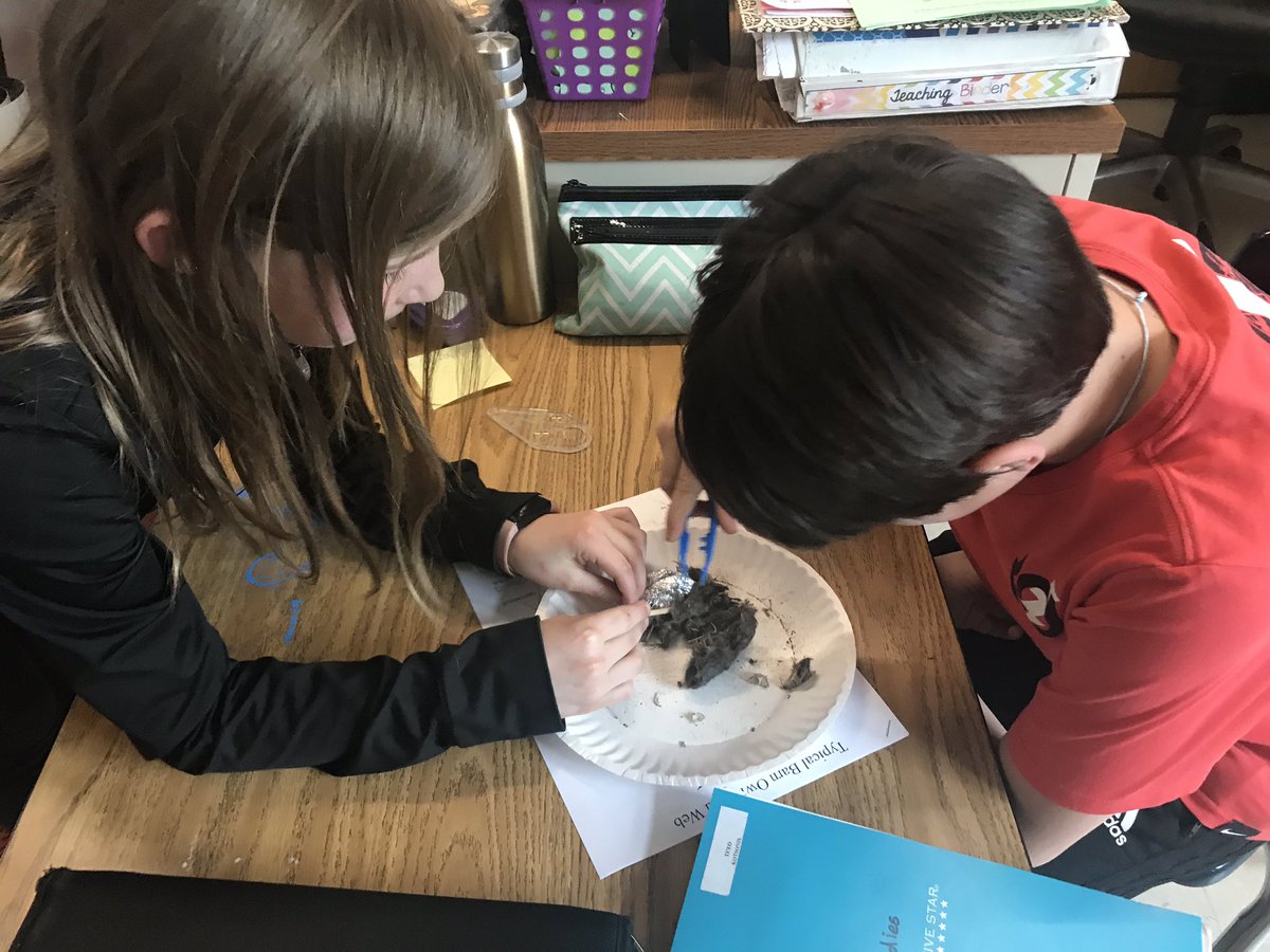 k_farvour's tweet photo. Dissecting owl pellets was a hit this afternoon!  Groups were able to identify bones from their pellets to decide what each owl ate!  #fourthatdixon https://t.co/B0Wc4PHSTU