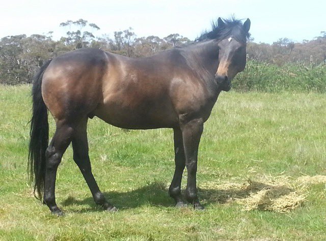 Genevieve Browne tweet media