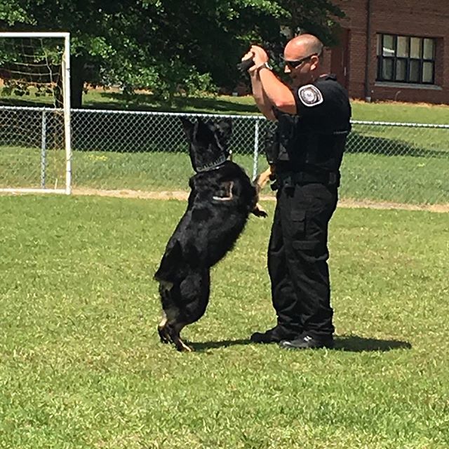 Officer Rein and his K9 partner, Lola, came to KIES Friday afternoon.  We got a demonstration of Lola’s abilities. Then we were allowed to give her loving.  Thank you Mrs. Cox for setting it up. bit.ly/2JoOzAp