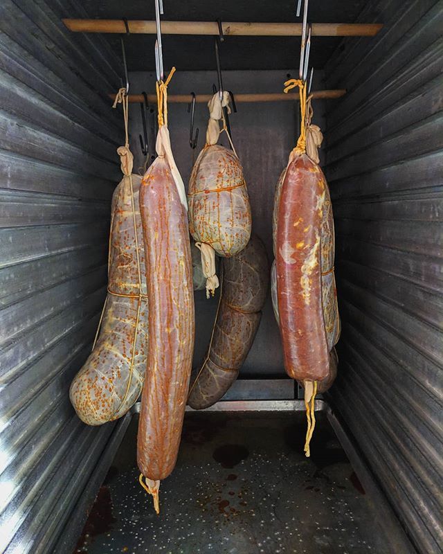 Chef_Rouge's tweet photo. Nduja incubation @thesalumerumepei.ca 
#housecures #salumerume #salami #salumi #charcuterie #fermented #pei #pork https://t.co/ASYmDThOfD