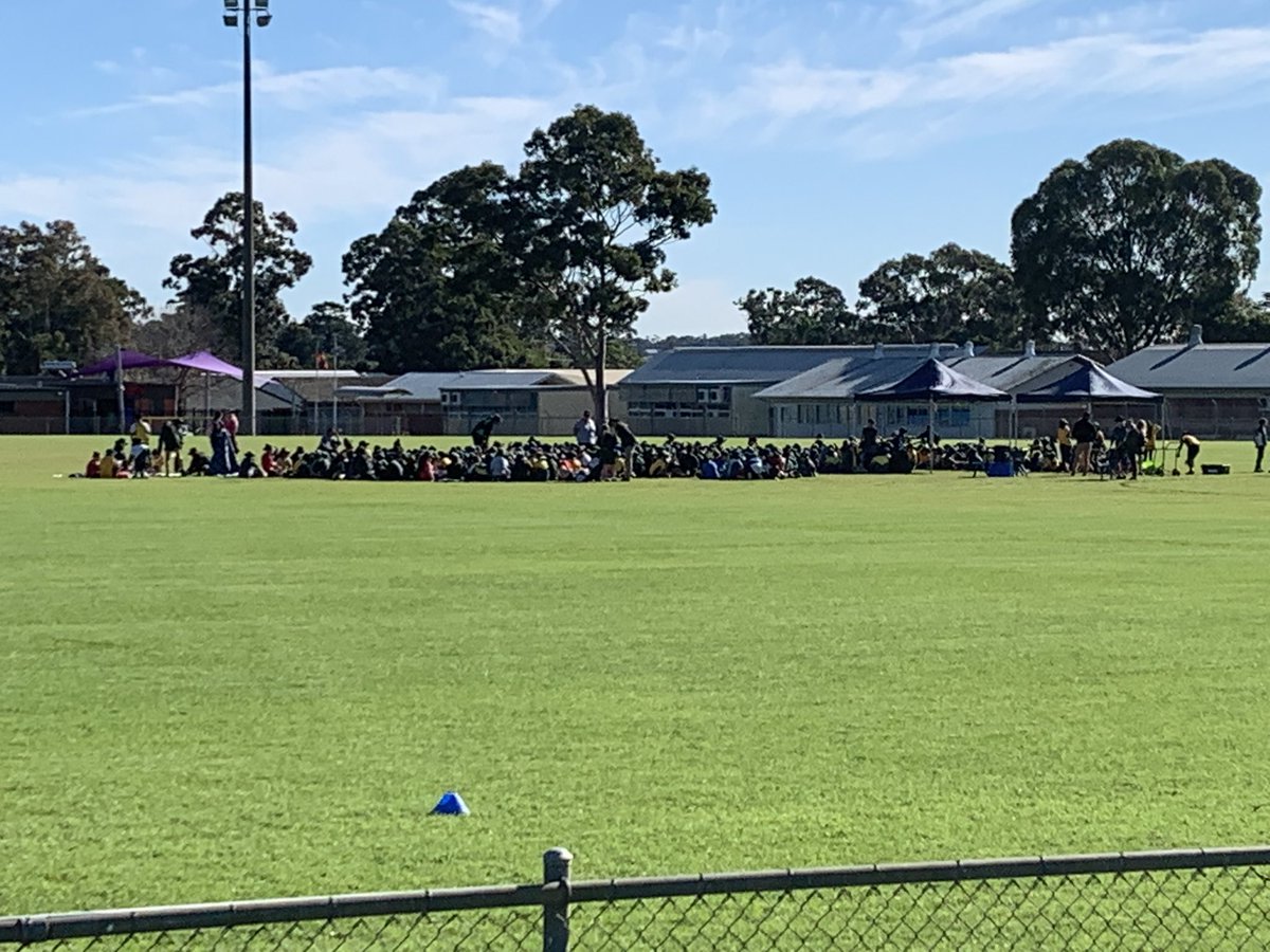 MacquarieFieldsPS (@macfieldsps) on Twitter photo What a gorgeous day for a Cross Country Carnival.. Good luck to all Year 3-6 participating today <a href="/MacFieldsPS/">MacquarieFieldsPS</a> What a gorgeous day for a Cross Country Carnival.. Good luck to all Year 3-6 participating today <a href="/MacFieldsPS/">MacquarieFieldsPS</a>