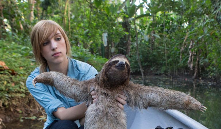 Zoologist <a href="/beckycliffe06/">Dr. Rebecca Cliffe</a> talks about why the popular perception of #sloths as lazy creatures is completely unwarranted — and why debunking myths like this about the animals is especially important right now.

news.mongabay.com/2019/04/audio-…