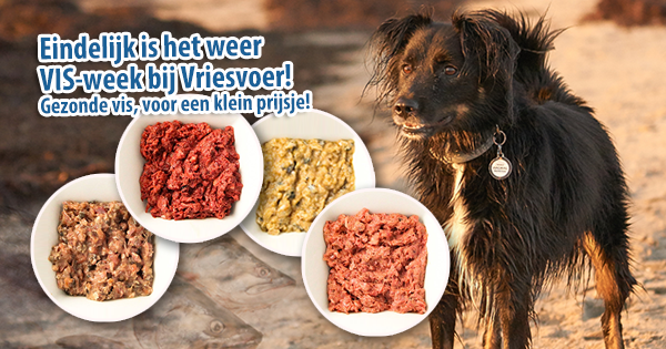 Vriesvoer's tweet photo. Tijd voor onze populaire visweek 🐟🐟
Gezonde vis voor een topprijs! 😃

➡ https://t.co/X7r54oVdTC

#honden #katten #vriesvoer #versvoer #barf #hondenvoer #kattenvoer #kauwartikelen #healtydog #cat #dog #rawfood #puppy https://t.co/Azs122nViP