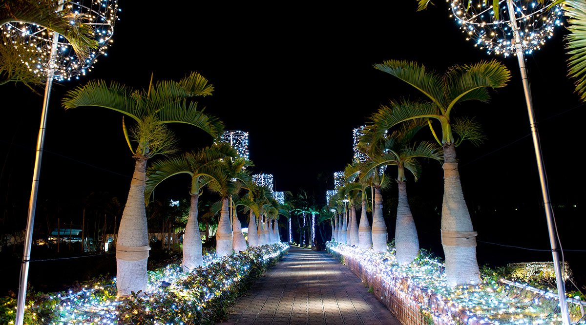 mkillumination's tweet image. Summer officially starts in around 6 weeks, and here in Innsbruck, the weather is cooperating beautifully! So let’s celebrate the season-to-come with some seasonal lighting!

#summerlighting #seasonallighting #summerleds #mkillumination