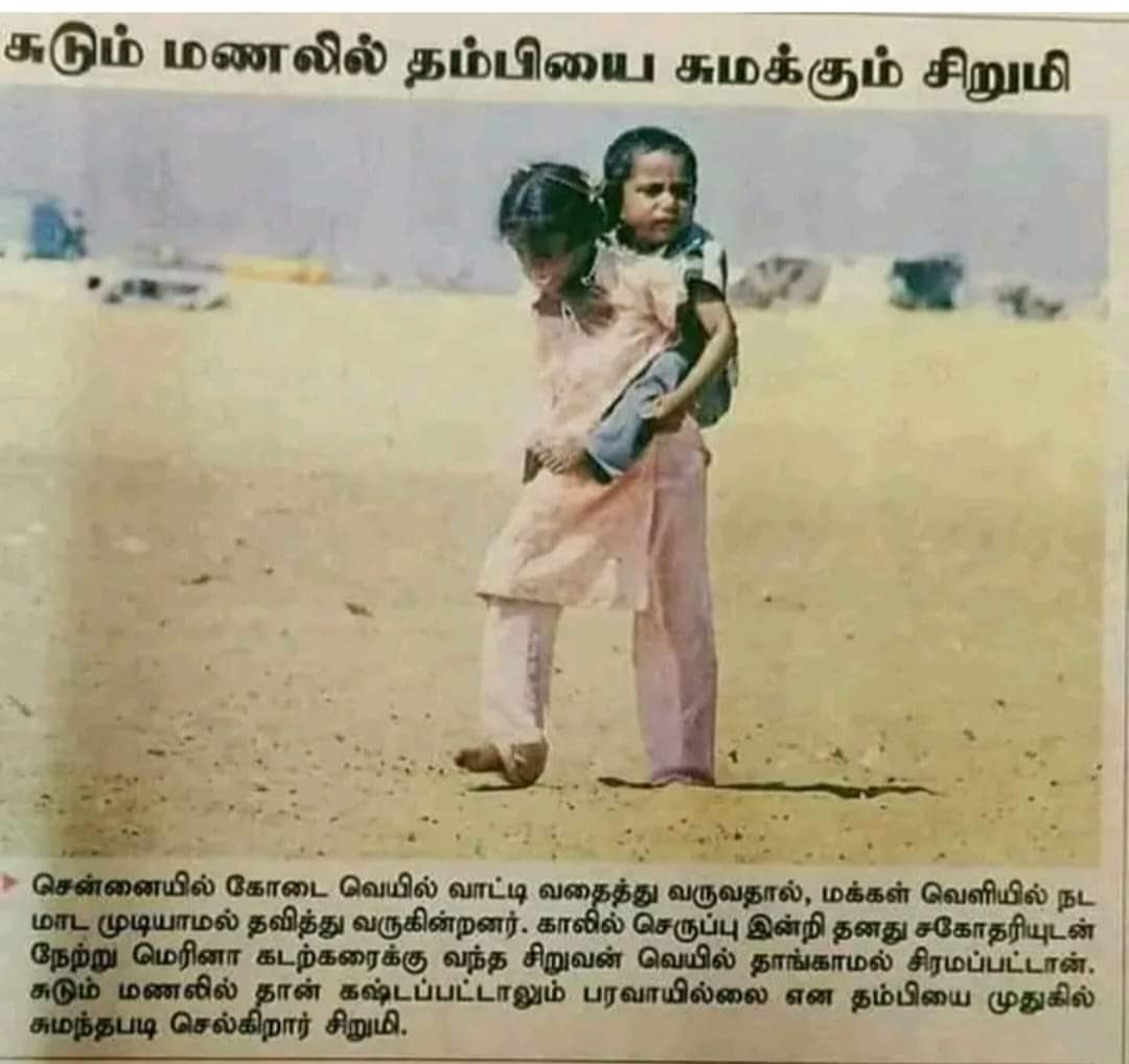 நானொரு முட்டாளுங்க tweet media