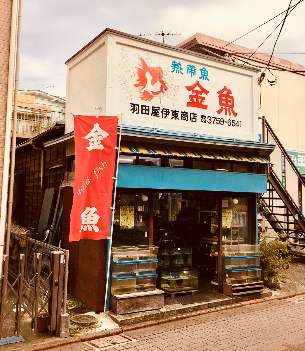 蒲田カルチャートーク 武蔵新田に行った方がいい理由 武蔵新田の駅近くに新田横丁という古めかしい通りがあり ここにある天まる商店もちょい飲み参加店 こういうところに大手を振って入れるのは嬉しい 参加店ではないけど駅前の角打ち 飯田酒店 も 蒲田カルチャートーク 武蔵新田に行った方がいい理由 武蔵新田の駅近くに新田横丁という古めかしい通りがあり ここにある天まる商店もちょい飲み参加店 こういうところに大手を振って入れるのは嬉しい 参加店ではないけど駅前の角打ち 飯田酒店 も