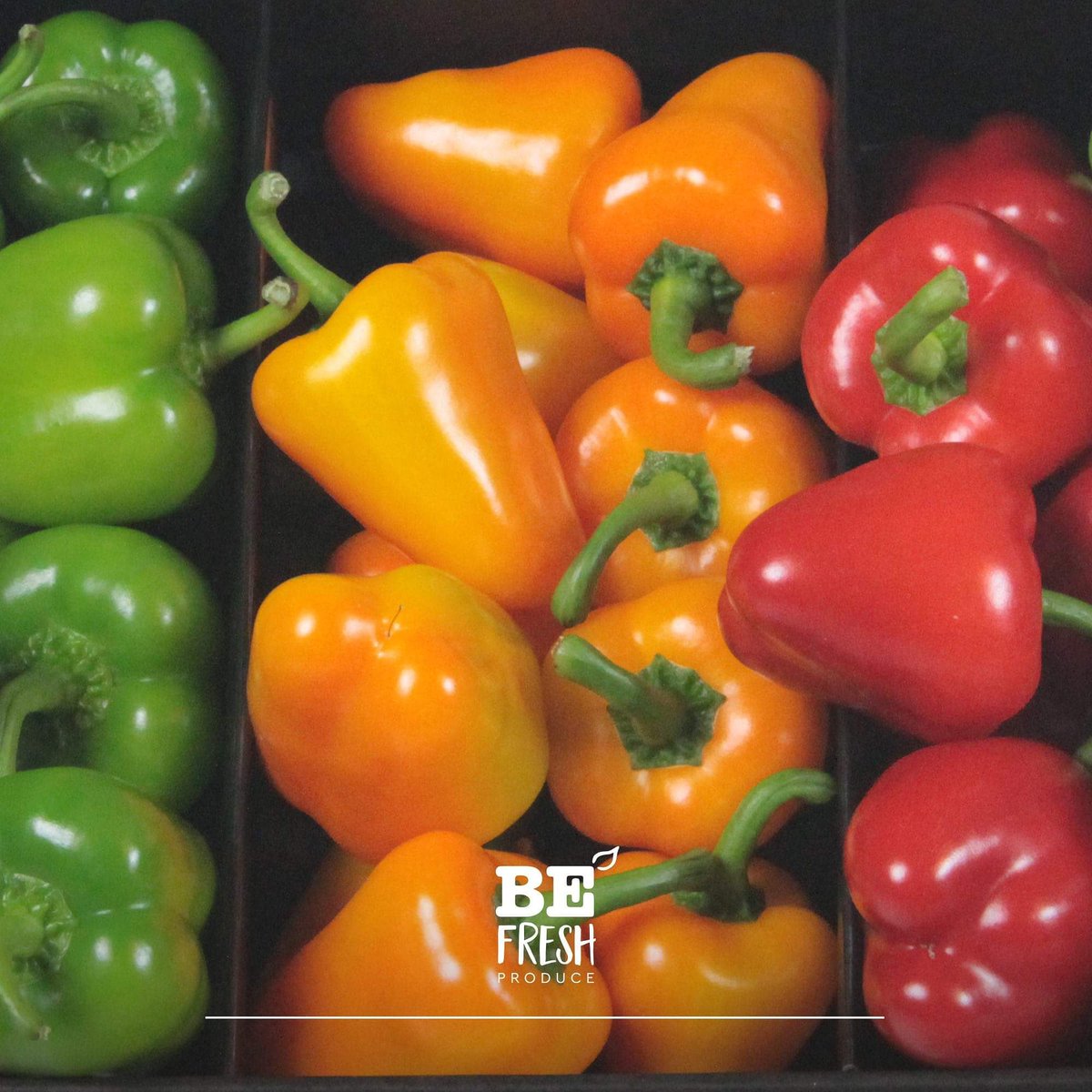 Just like other types of vegetables, capsicums contain a lot of fiber and nutrients and few calories. Red capsicums contain twice as much vitamin C as green green capsicum. The red is also a bit sweeter. But a mix of different capsicums is super healthy and tasty!
#capsicum