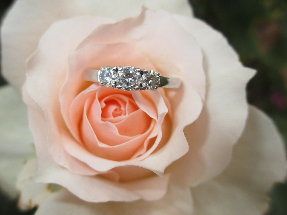 Diamondengagem9's tweet photo. Spring Special Prices!
Get beautiful engagement rings in different settings in your budget this spring season. All you have to do is visit the DER online store and select a design!

#diamondjewellery #springcollection #flowers #wedding
#DER #beautifulrings #sapphireengagementring https://t.co/stuF7CKmNG