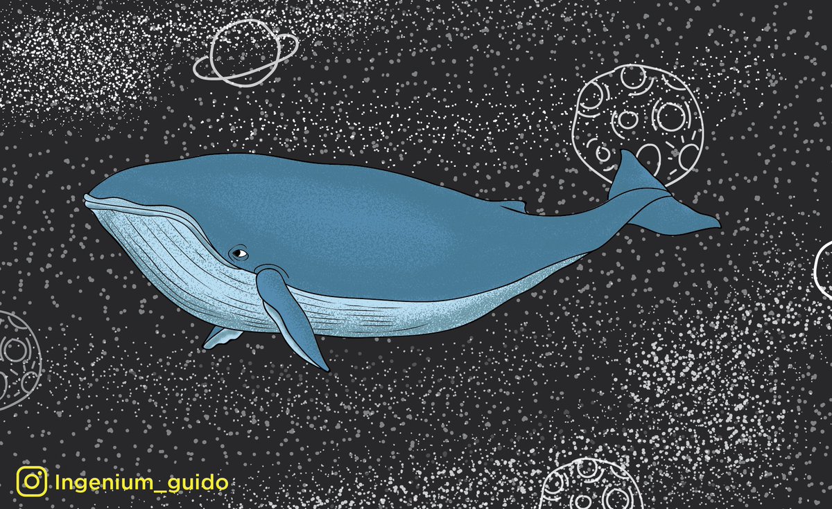 Space whale 🐋
.
.
.
.
.
.
#space #whale #sea #ocean #art #graphicdesign #illustration #sealife #oceanlife #sketchy #graphic #creative #artofinsta #drawings #wacomintuos #artwork #graphicinspiration #vector #adobeillustrator #artoftheday #imagines #ingenium #sealife #whales