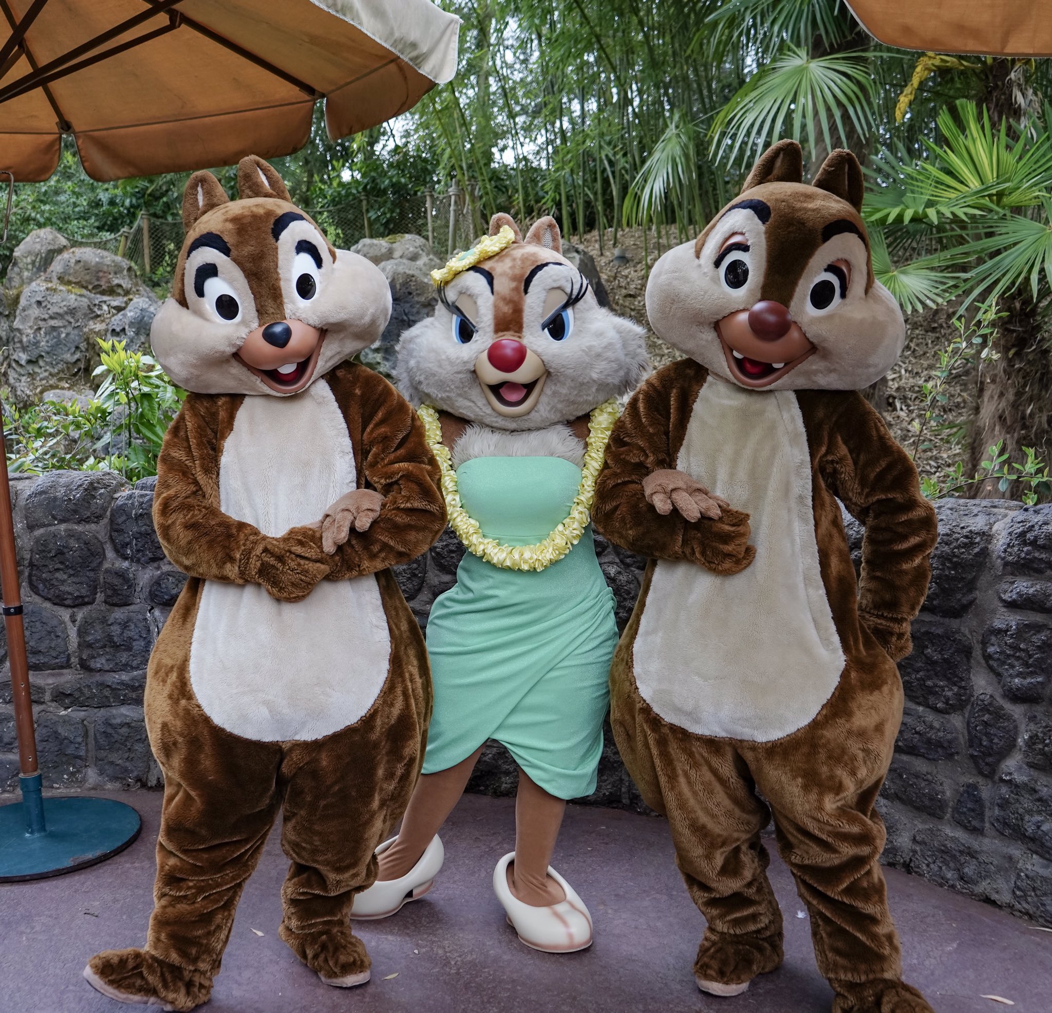 ドナかね すみれ ほぼ交換 珍しく3ショットの栗鼠グリ Disneylandparis Chipanddale Clarice チップとデール Disneycharactor Disneyphotos ディズニーランドパリ グリーティング クラリス嬢 ファインダー越しの私の世界 キャラクター