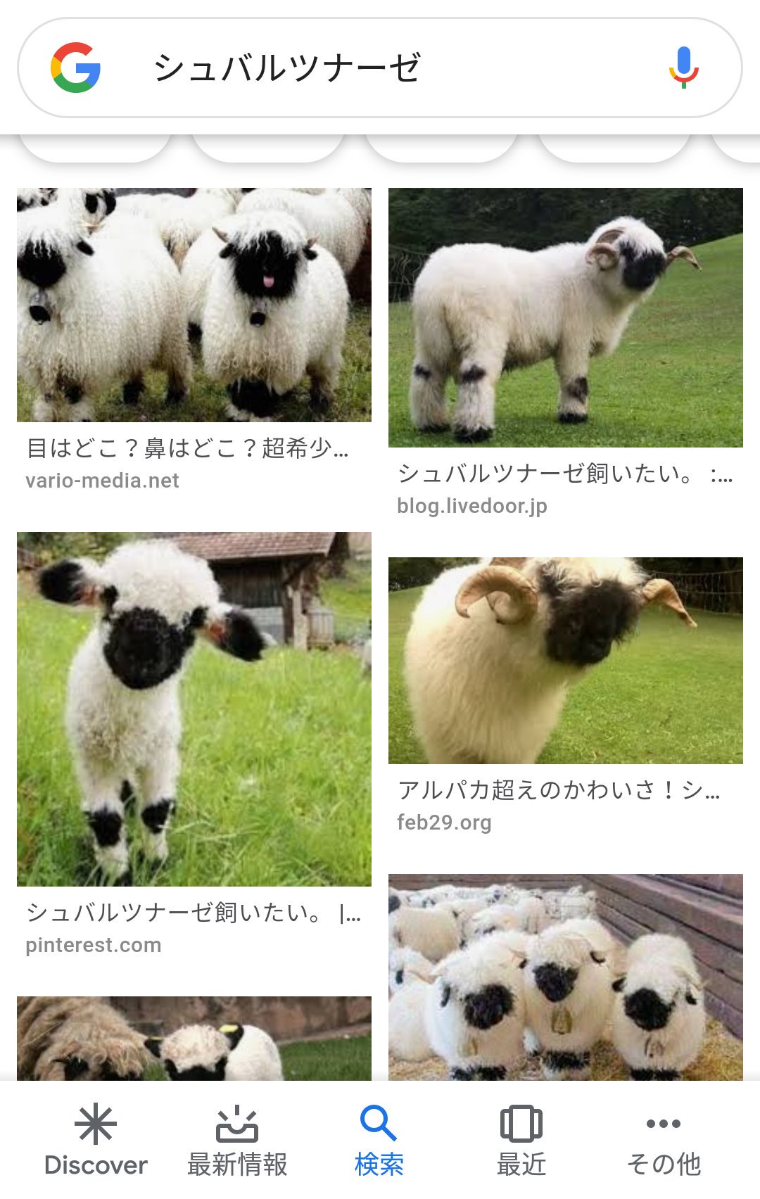 リンネ Twitterissa シュバルツナーゼ 豊かな人生を送るためにオススメの画像検索ワード リンネ Twitterissa シュバルツナーゼ 豊かな人生を送るためにオススメの画像検索ワード