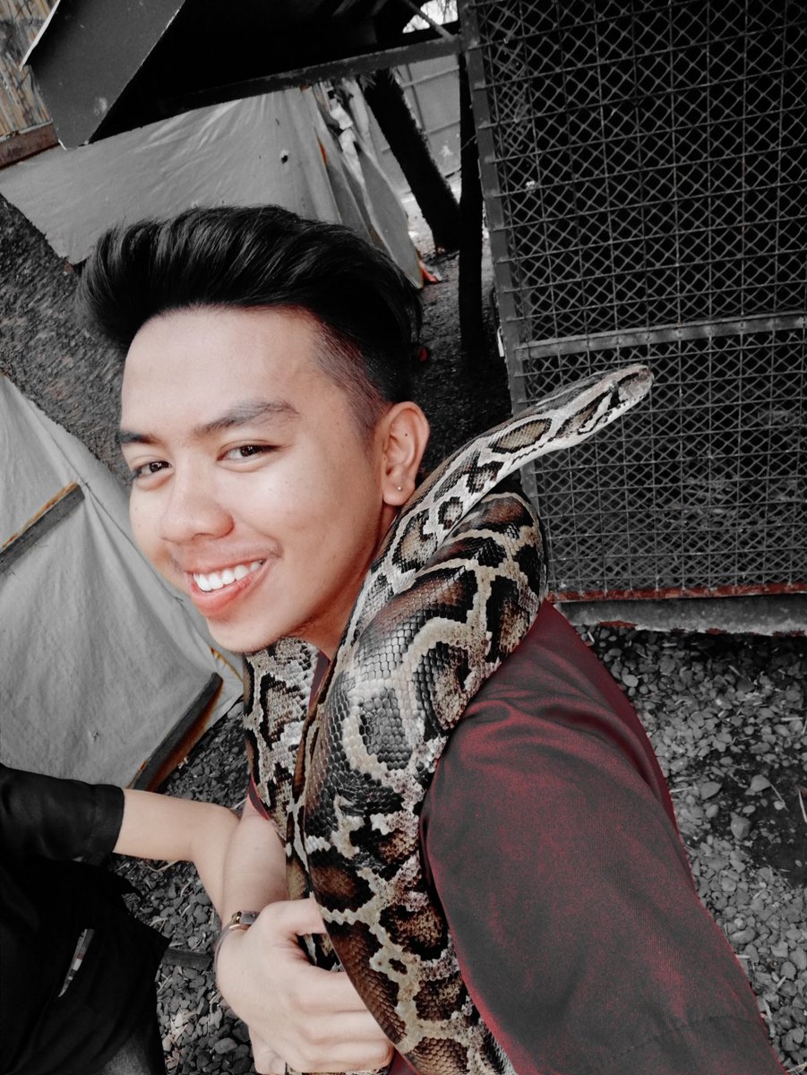 Aries46850882's tweet photo. Meet jonnel the burmese python๐
#besss https://t.co/o9ZOw3hwPh