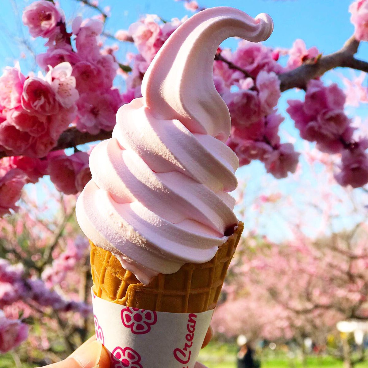 FR2梅 ピンク　31アイスクリーム　即完売品　超レア　フリーサイズ FR2梅 ピンク 31アイスクリーム 即完売品 超レア フリーサイズ 2025年